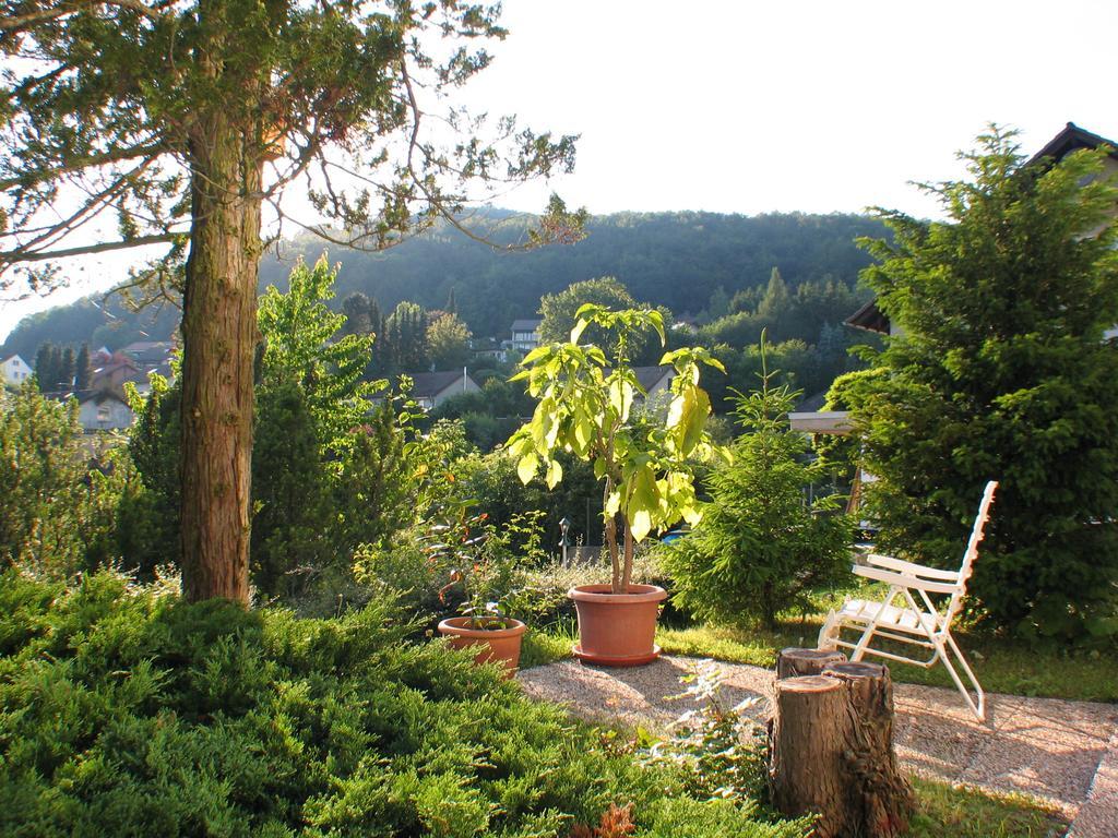 Ferienwohnung In Waldrandlage Zierenberg Extérieur photo
